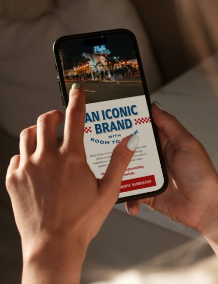 Franchise Sales Branding and Website